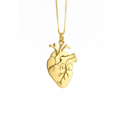 Anatomical Heart Necklace